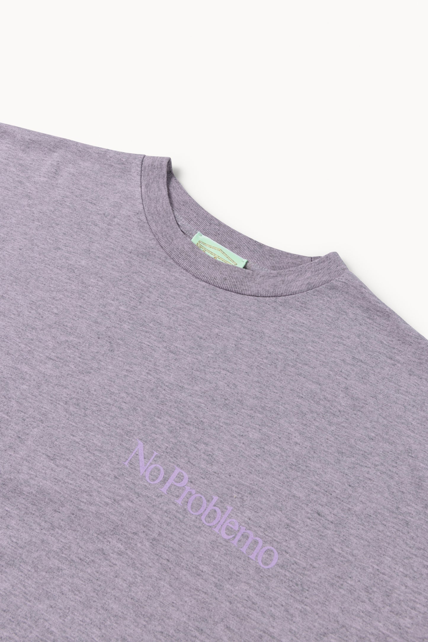 Overdyed Melange Mini Problemo SS Tee