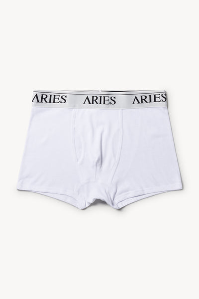 Aries Arise Printed Sheer Mesh Underwear Briefs, Size 3